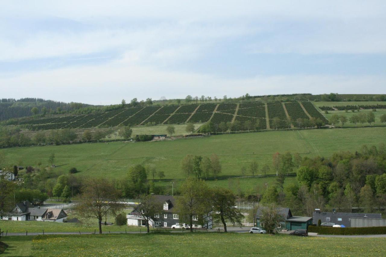 Ferienhaus Zur Ennest Schmallenberg Buitenkant foto